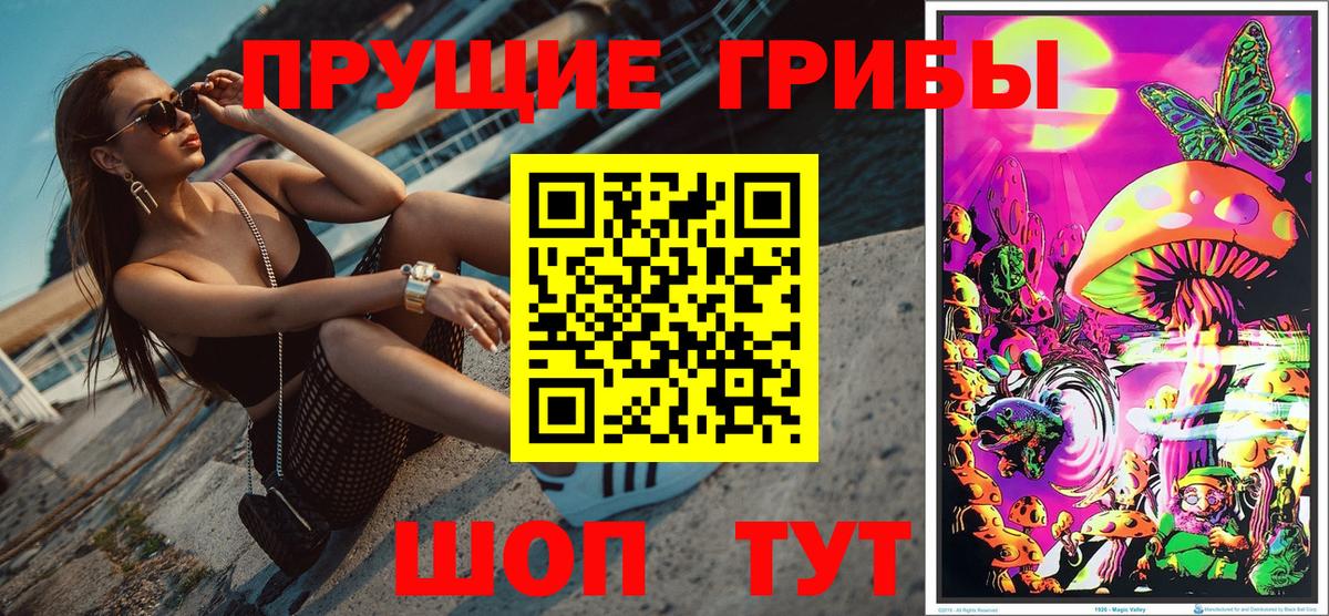 Галлюциногенные грибы GOLDEN TEACHER  Псилоцибиновые грибы ЛСД  цена   Керчь  Вход с VPN 