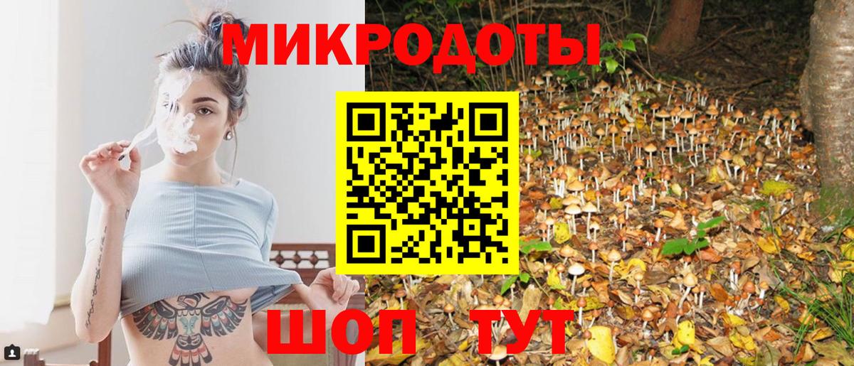 Псилоцибиновые грибы мицелий Керчь